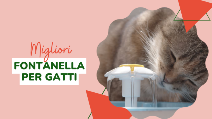 Fontanella per Gatti